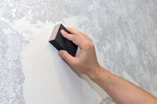 Best Airborne Mold Testing  in Taylor Creek, OH