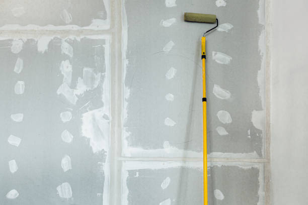 Best Post-Construction Mold Inspection  in Taylor Creek, OH