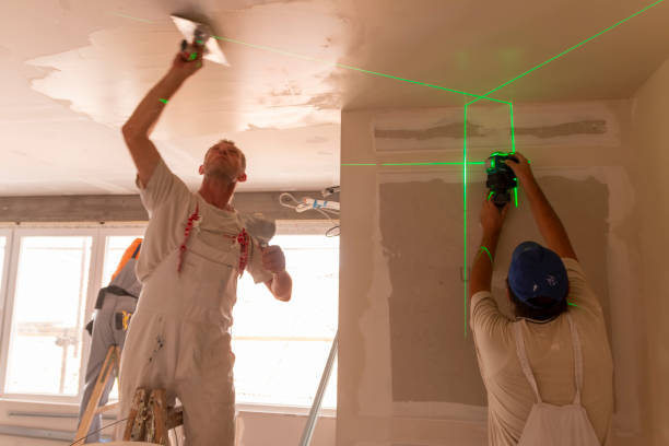 Best Basement Mold Removal  in Taylor Creek, OH
