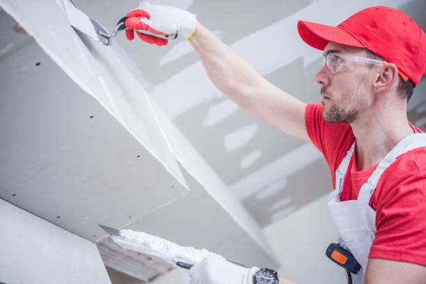 Best Residential Mold Inspection & Testing  in Taylor Creek, OH